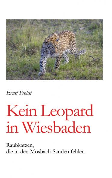 Kein Leopard in Wiesbaden