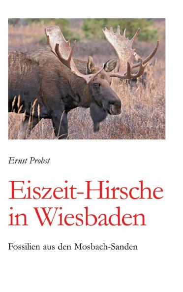 Eiszeit-Hirsche in Wiesbaden