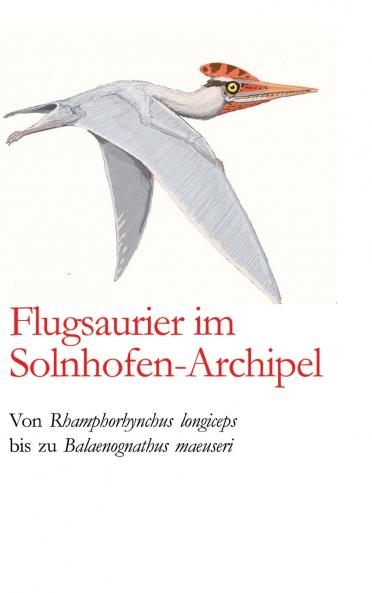 Flugsaurier im Solnhofen-Archipel
