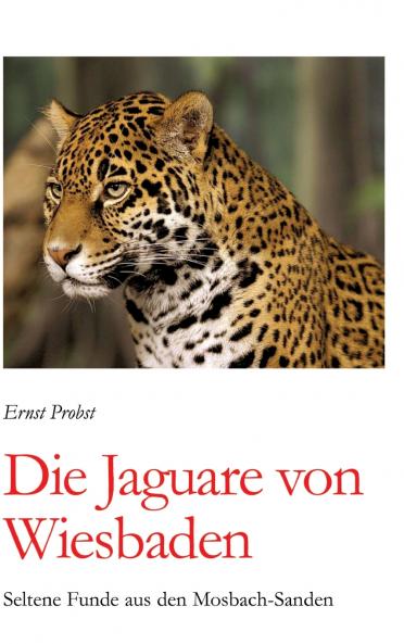 Die Jaguare von Wiesbaden