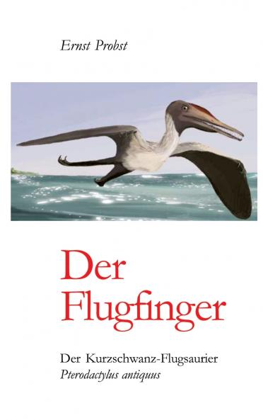 Der Flugfinger
