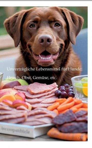 Unverträgliche Lebensmittel für Hunde