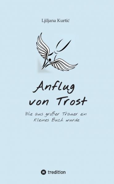 Anflug von Trost
