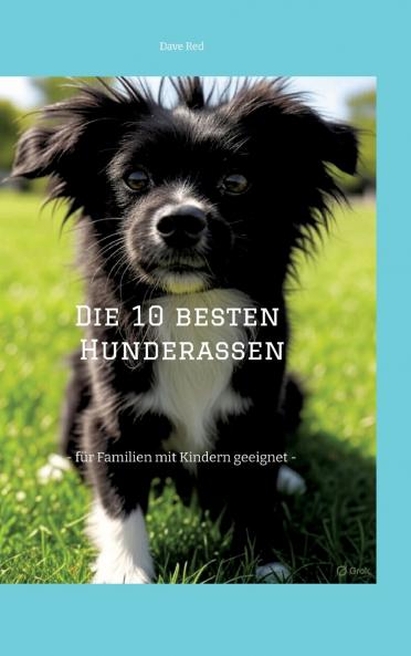 Die 10 besten Hunderassen