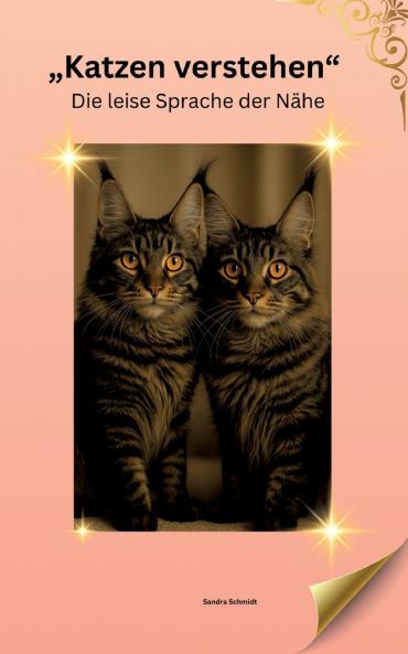 Katzen verstehen