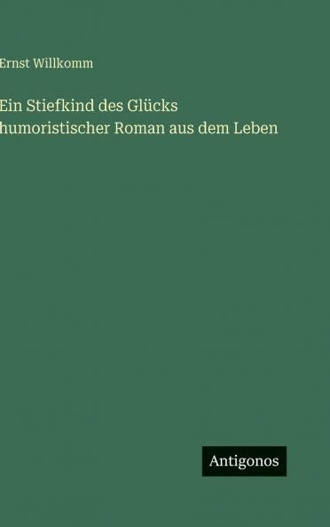 Ein Stiefkind des Glücks humoristischer Roman aus dem Leben