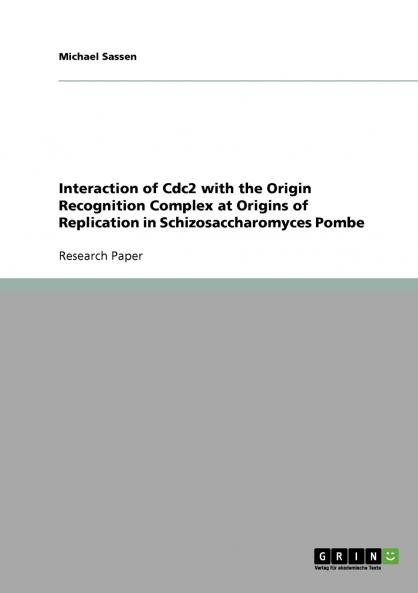 Interaction of Cdc2 with the Origin Recognition Complex at Origins of Replication in Schizosaccharomyces Pombe