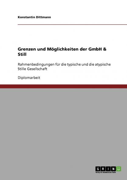 Grenzen und Möglichkeiten der GmbH & Still
