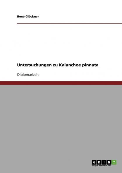Untersuchungen zu Kalanchoe pinnata