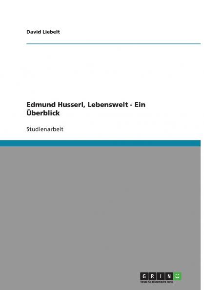 Edmund Husserl Lebenswelt - Ein Überblick