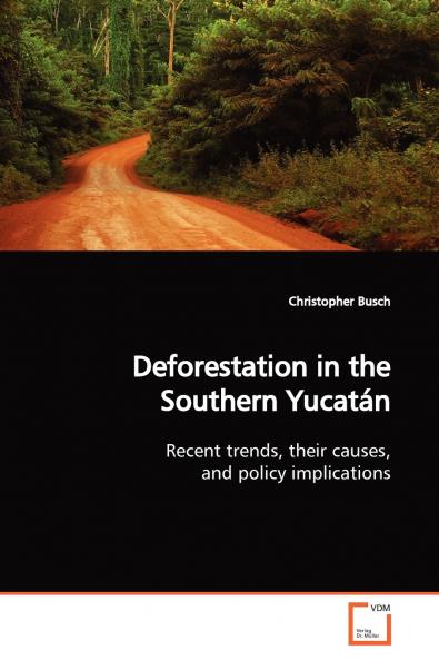 Deforestation in the Southern Yucatán