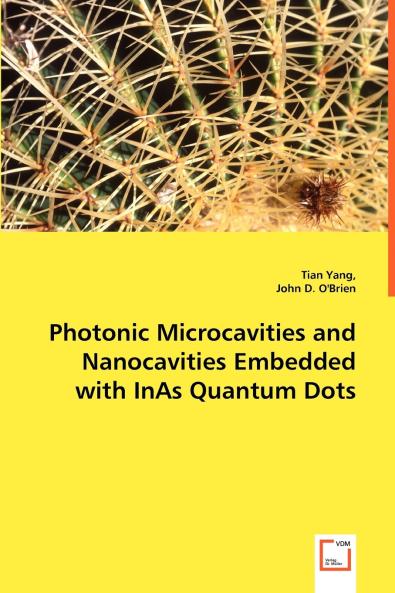 Photonic Microcavities and Nanocavities Embedded with InAs Quantum Dots