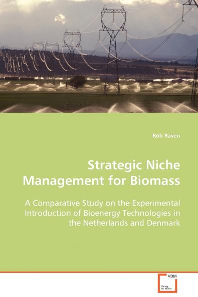 Strategic Niche Management for Biomass