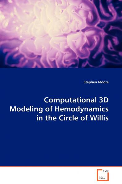 Computational 3D Modeling of Hemodynamics in the Circle of Willis