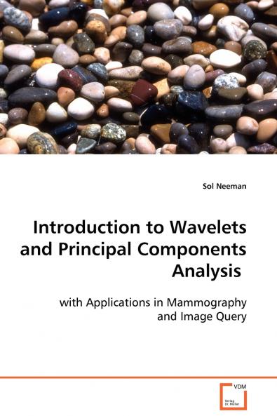 Introduction to Wavelets and Principal Components Analysis