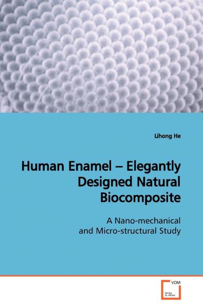 Human Enamel - Elegantly Designed Natural  Biocomposite