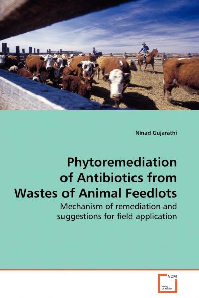 Phytoremediation of Antibiotics from Wastes of  Animal Feedlots