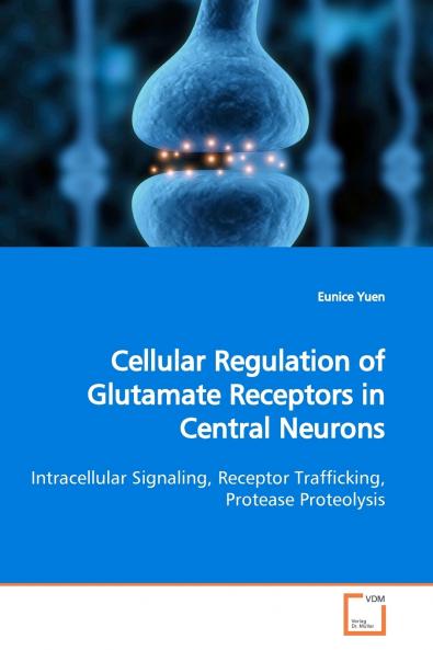 Cellular Regulation of Glutamate Receptors in  Central Neurons