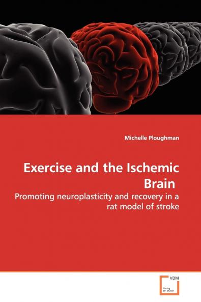 Exercise and the Ischemic Brain