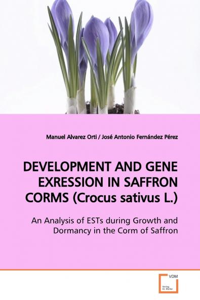 DEVELOPMENT AND GENE EXRESSION IN SAFFRON CORMS  (Crocus sativus L.)