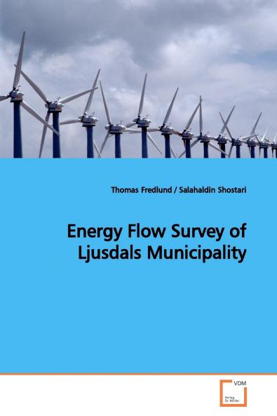 Energy Flow Survey of Ljusdals Municipality