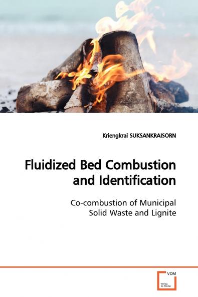 Fluidized Bed Combustion and Identification