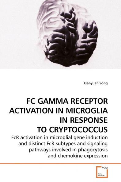 FC GAMMA RECEPTOR ACTIVATION IN MICROGLIA IN RESPONSE TO CRYPTOCOCCUS