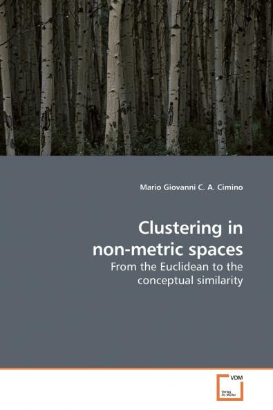 Clustering in non-metric spaces