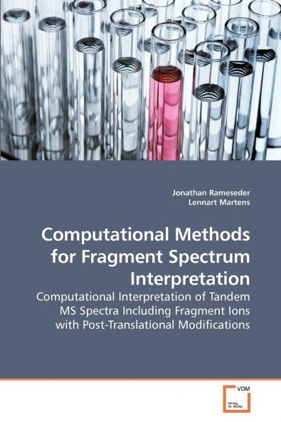 Computational Methods for Fragment Spectrum Interpretation