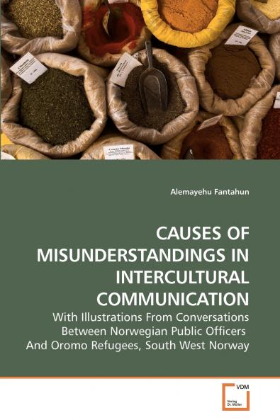 CAUSES OF MISUNDERSTANDINGS IN             INTERCULTURAL COMMUNICATION