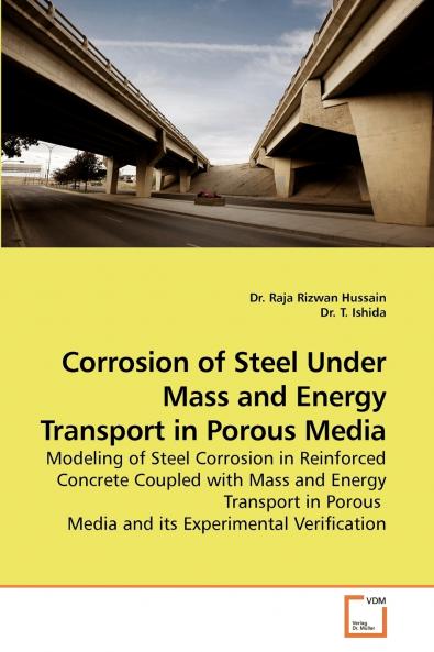 Corrosion of Steel Under Mass and Energy             Transport in Porous Media