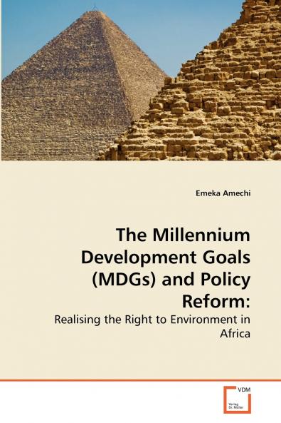 The Millennium Development Goals (MDGs) and Policy Reform
