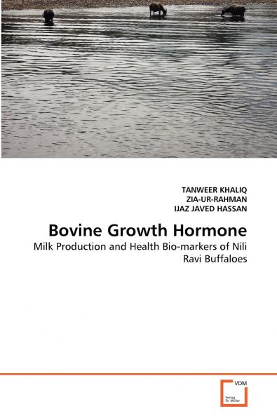 Bovine Growth Hormone