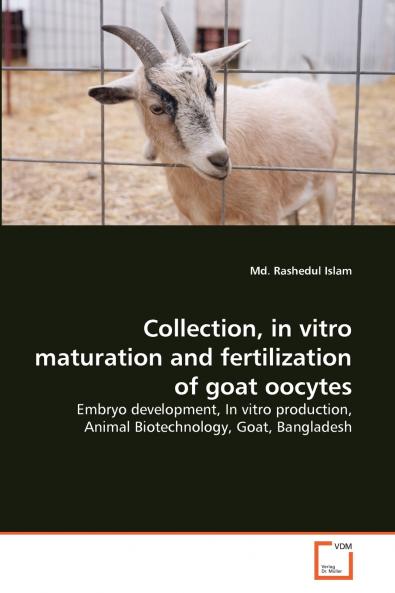 Collection in vitro maturation and fertilization of goat oocytes