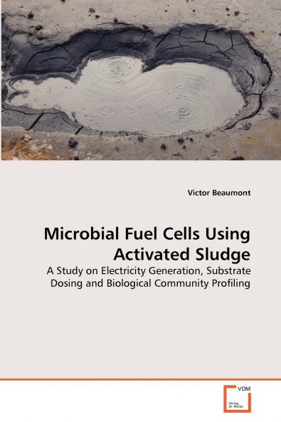 Microbial Fuel Cells Using Activated Sludge