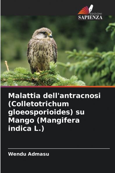 Malattia dell'antracnosi (Colletotrichum gloeosporioides) su Mango (Mangifera indica L.)
