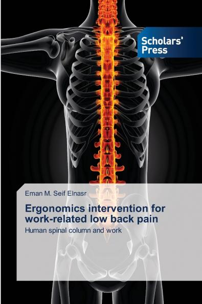 Ergonomics intervention for work-related low back pain