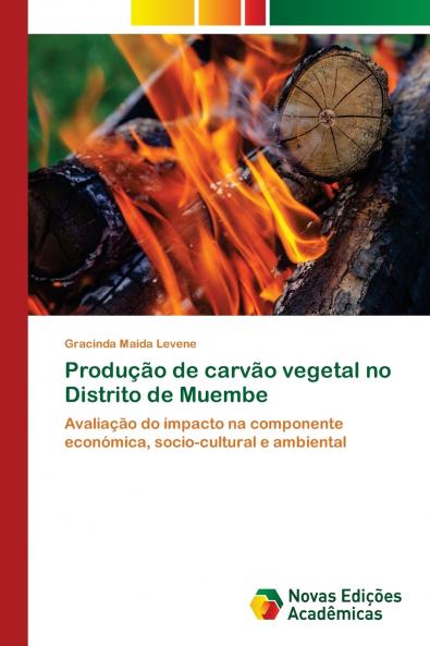 Produção de carvão vegetal no Distrito de Muembe