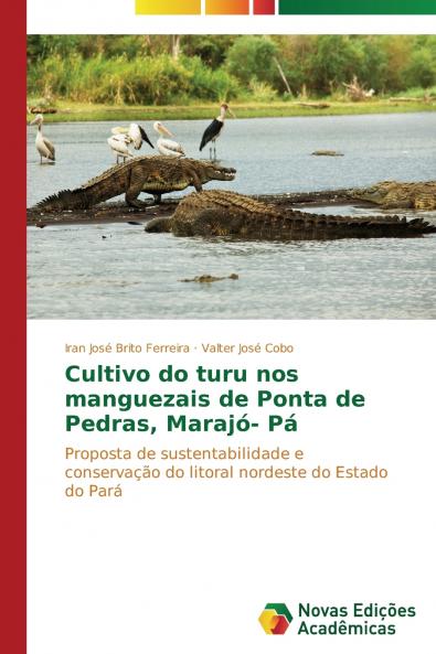 Cultivo do turu nos manguezais de Ponta de Pedras Marajó- Pá