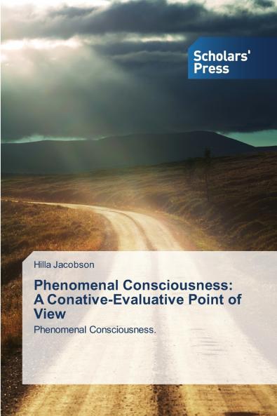 Phenomenal Consciousness