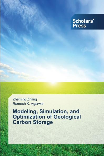 Modeling Simulation and Optimization of Geological Carbon Storage
