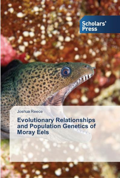 Evolutionary Relationships and Population Genetics of Moray Eels