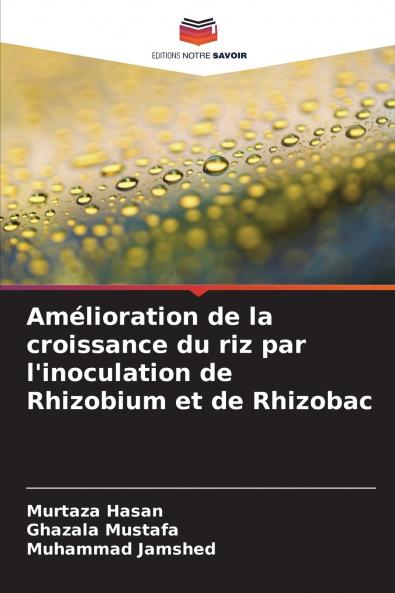 Amélioration de la croissance du riz par l'inoculation de Rhizobium et de Rhizobac