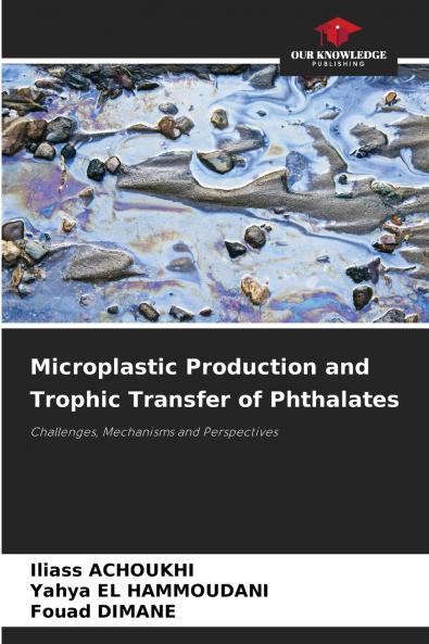 Microplastic Production and Trophic Transfer of Phthalates