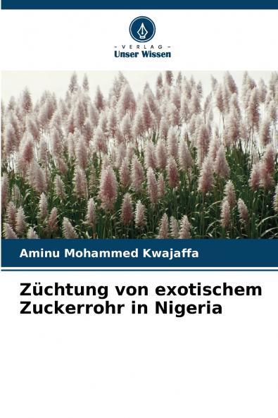 Züchtung von exotischem Zuckerrohr in Nigeria