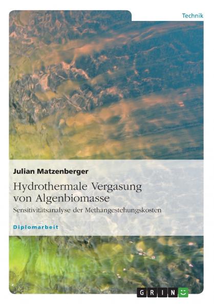 Hydrothermale Vergasung von Algenbiomasse