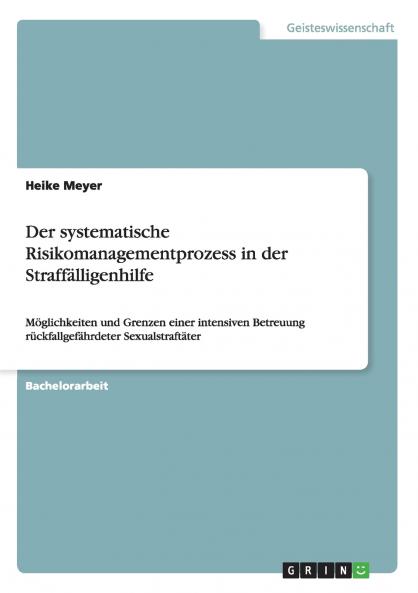 Der systematische Risikomanagementprozess in der Straffälligenhilfe