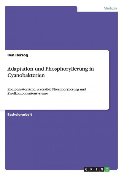 Adaptation und Phosphorylierung in Cyanobakterien