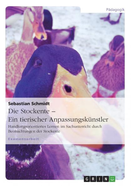 Die Stockente - ein tierischer Anpassungskünstler