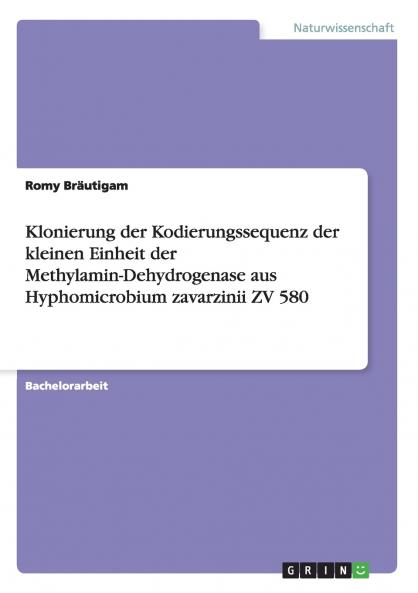 Klonierung der Kodierungssequenz der kleinen Einheit der Methylamin-Dehydrogenase aus Hyphomicrobium zavarzinii ZV 580